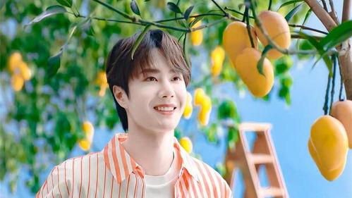 娱乐爆料王一博杨紫,娱乐爆料引粉丝热议